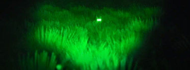 Green Light Flashlight for Hunting