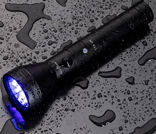 UV light black light flashlight