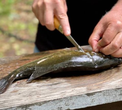 use pocket knife as a fishing tool